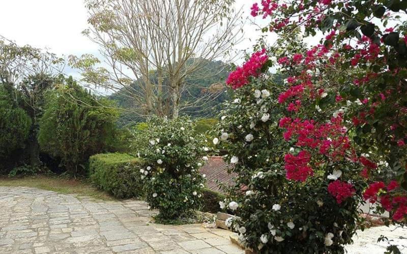 Pousada Sitio Sossego Correas エクステリア 写真